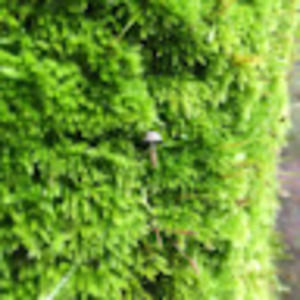 Meet your Posher, Reilly